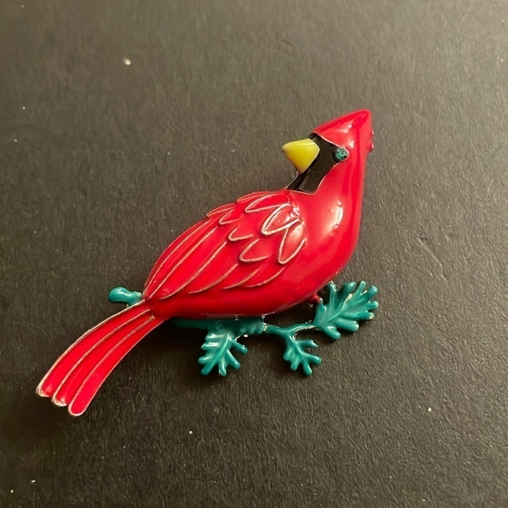 Macys Red Robin bird 🐦 pin
